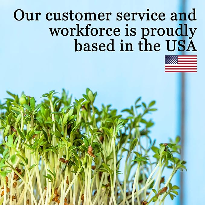 Strawberry Clover - 1 OZ ~16,000 Seeds - Hay, Silage, Green Manure or Farm & Garden Cover Crops - Attracts Pollinators