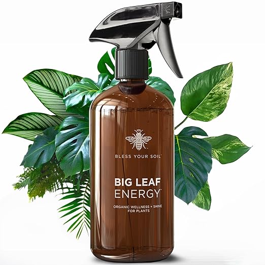 Big Leaf Energy (16 FL OZ, Glass) Organic Neem Oil Plant Spray with Essential Oils : Natural Plant Wash for Indoor Houseplants and Outdoor Gardens