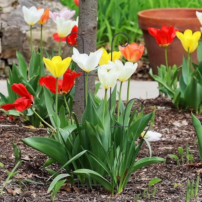 2 Pack 23.6'' Taller Plant Trellis for Climbing Plants Indoors & Outdoor, Garden Metal Trellis Plant Support for Potted Plants, Houseplants, Flowers Vine, Ivy, Pothos, Monstera