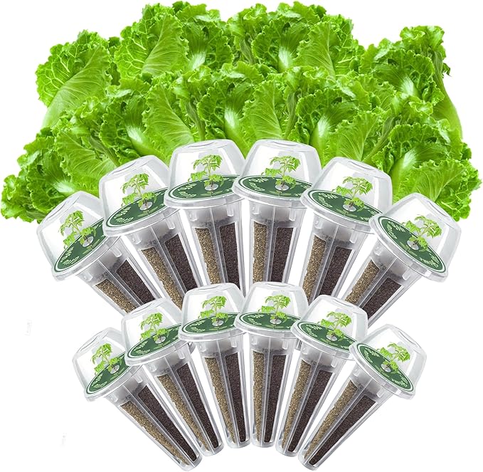 Iceberg Lettuce Seed Pods Kit for Hydroponic, 12 Pods Grow Anything Hydroponics Kit for Indoor Garden, Hydroponics Supplies with 12 Grow Sponges, 12 Plant Baskets, Iceberg Seeds - 12 POD