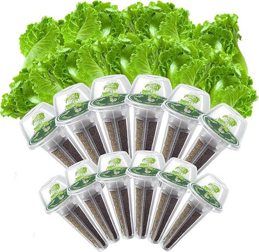 Iceberg Lettuce Seed Pods Kit for Hydroponic, 12 Pods Grow Anything Hydroponics Kit for Indoor Garden, Hydroponics Supplies with 12 Grow Sponges, 12 Plant Baskets, Iceberg Seeds - 12 POD