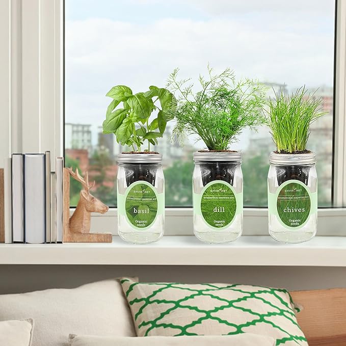 Hydroponic Herb Growing Kit Set, Self-Watering Mason Jar Herb Garden Starter Kit Indoor, Windowsill Herbs Garden, Grow Your Own Herbs from Organic Seeds (Basil, Dill, Chives)