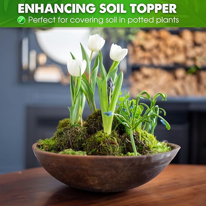 DUSPRO Dried Moss for Potted Plants, Forest Orchid Moss for Potting Mix, Sphagnum Potting Moss for Plants Indoor, Real Moss Soil Cover for Houseplant (2 OZ)