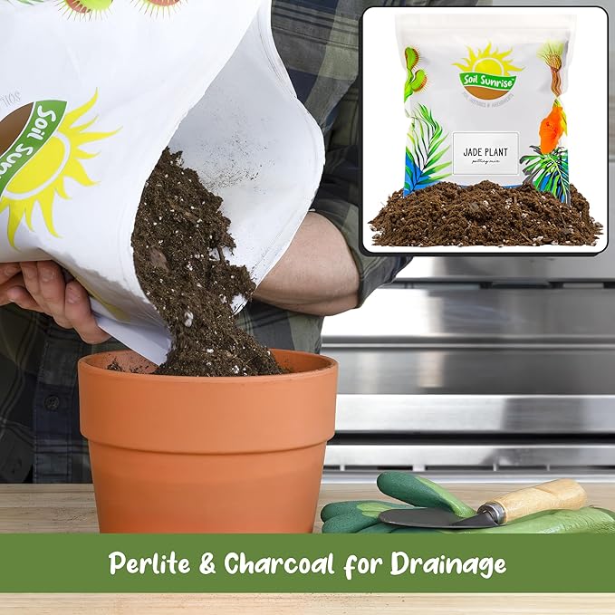 Jade Plant Potting Soil Mix (8 Quarts), Hand Blended Additive for Jade Succulents