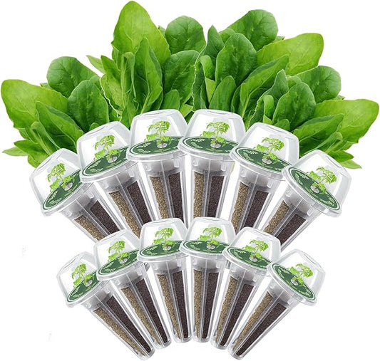 Spinach Seed Pods Kit for Hydroponic, 12 Pods Grow Anything Hydroponics Kit for Indoor Garden, Hydroponics Supplies with 12 Grow Sponges, 12 Plant Baskets, Spinach Seeds - 12 POD