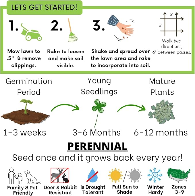 Flawn Seed Kits Micro Clover Seed, Organic Coated, Eco-Friendly, Low Growing, Low Maintenance, Lawn Alternative, Kraft Pouch, 4.4 oz Covers up to 1000 Sqft