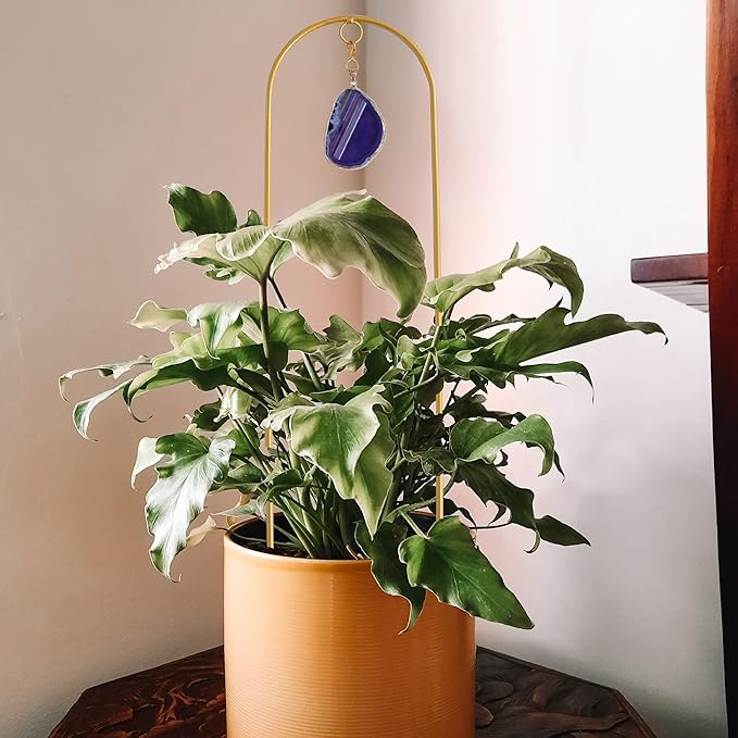 2 Pcs 16 Inch Arch Trellis with Agate and Moon Phase Trellis for Climbing Plants Gold Trellis for Potted Plants Indoor Trellis for Climbing Plants Support Small House Plant Trellis for Hoya,Flower