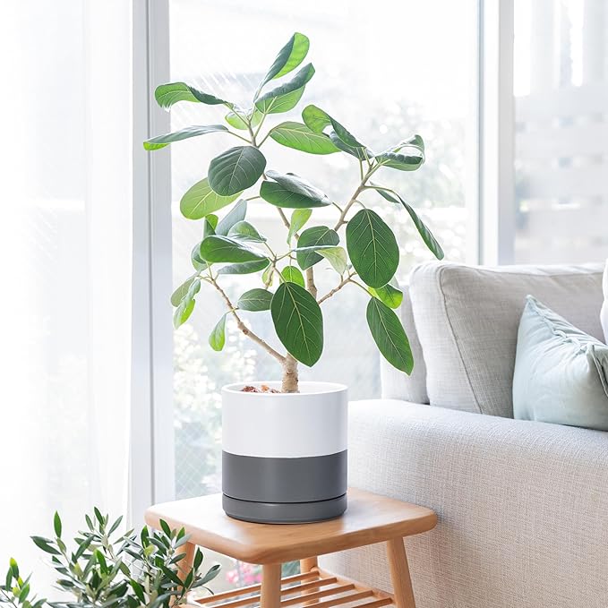 D'vine Dev Set of 2 Plants Pots, 8.2 Inch Ceramic Planter Pot for Plants with Drainage Hole and Saucer, White/Speckled Grey, 94-V-D-6