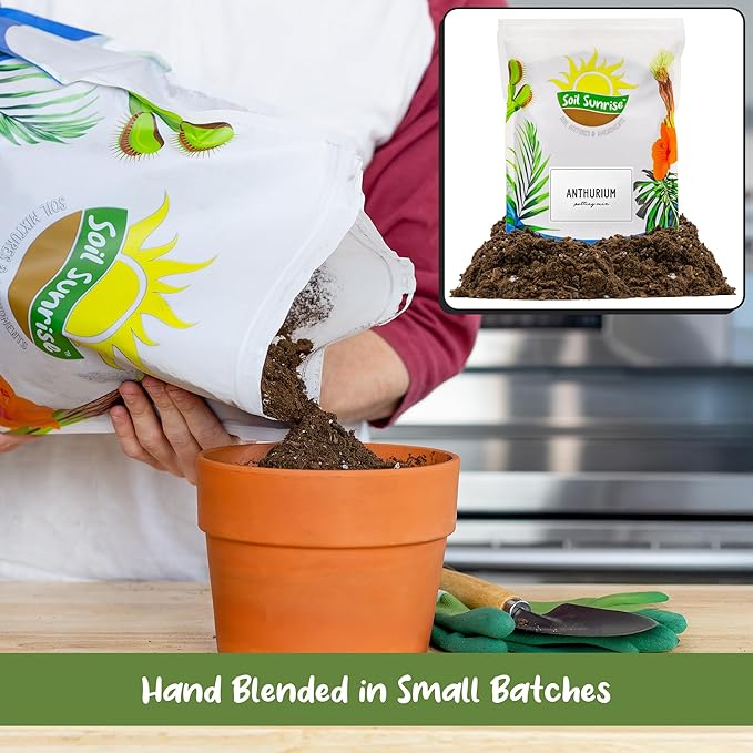 Anthurium Plant Potting Soil Mix (4 Quarts), Indoor Houseplant Custom Blend for Flowering Anthuriums