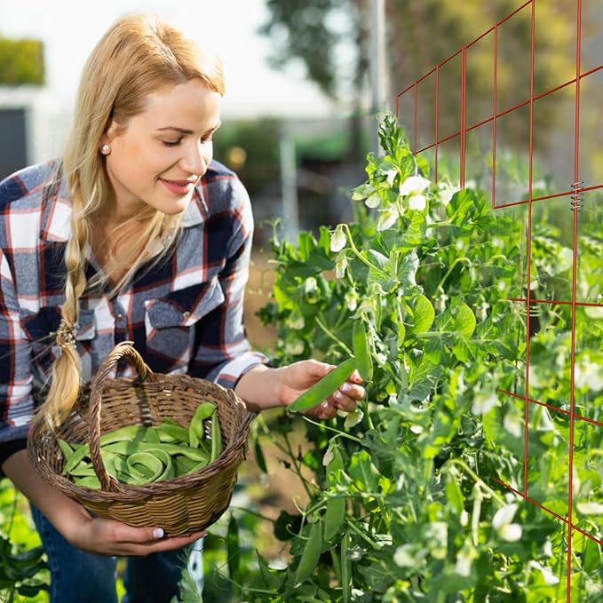 DOEWORKS Cucumber Trellis, 48" High Foldable A Frame Garden Trellis, 2 Pack, Plant Support for Climbing Cucumber, Beans, Tomatoes, Flowers, Red