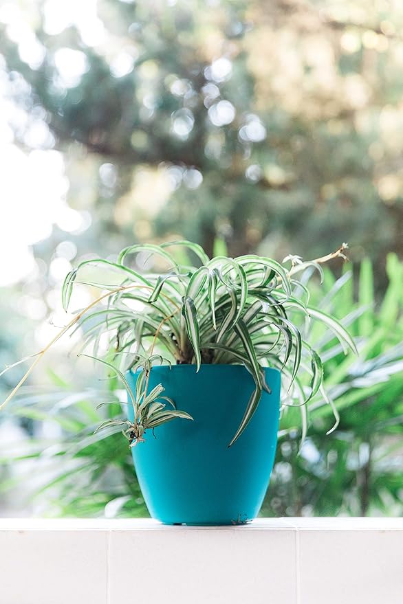 GARDENIX DECOR Self Watering Pots for Indoor Plants 3 Pack - Flower Pot with Water Level Indicator for Plants, Grow Tracking Tool - Self Watering Planter Plant Pot - Coco Coir - Teal