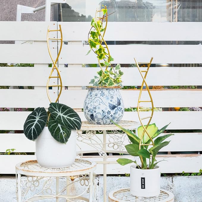 3PCS DNA Plant Trellis Indoor and Outdoor - Lightweight Metal Trellis for Potted Plants, Hoya & Pothos Climbing Support, Artistic Geometric Design, Durable & Easy Installation