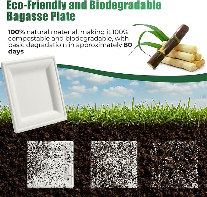 100% Compostable Paper Plates, and Biodegradable Set Includes Forks Spoons and Knives Perfect for Eco Friendly Parties and Gatherings（White 300pcs)