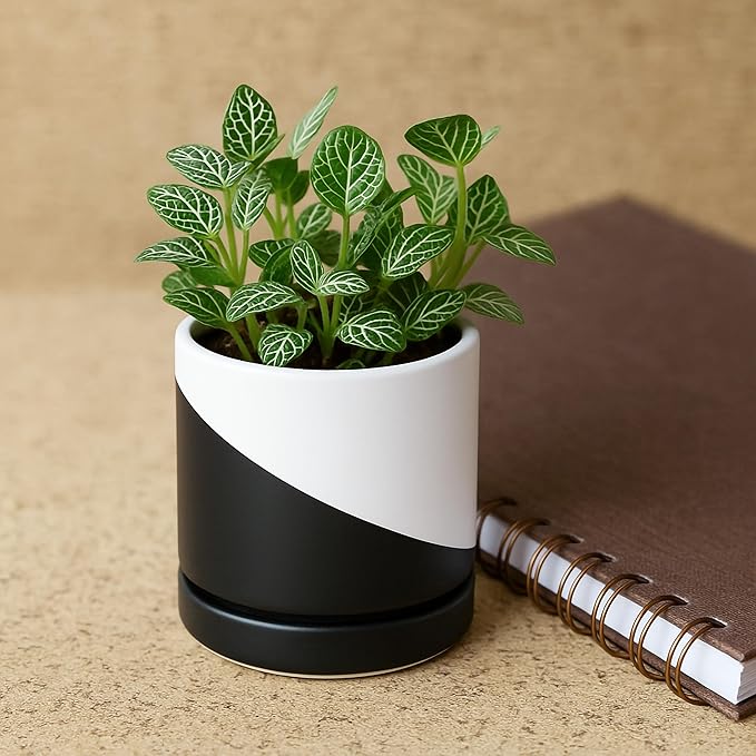 D'vine Dev 3.5 Inch Ceramic Planter Pot with Drainage Hole and Saucer, Indoor Cylinder Round Planter Pot, Oblique Monochrome Black and White, 94-O-A-K