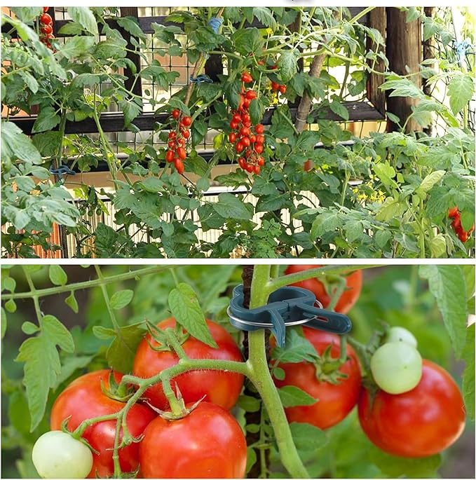 Plant Support Clips, 80 PCS Gentle Flower Plant Clamps for Supporting Vine Climbing Plants, Gardening Lever Loop Gripper Clips Help Stems Vines Grow Straight Upright, 2 Sizes in one Pack