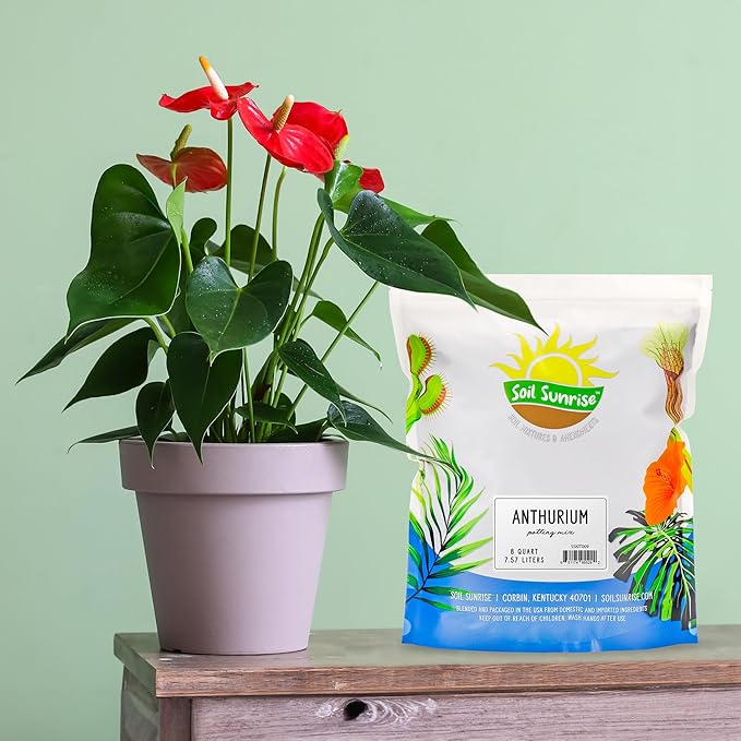 Anthurium Plant Potting Soil Mix (8 Quarts), Indoor Houseplant Custom Blend for Flowering Anthuriums
