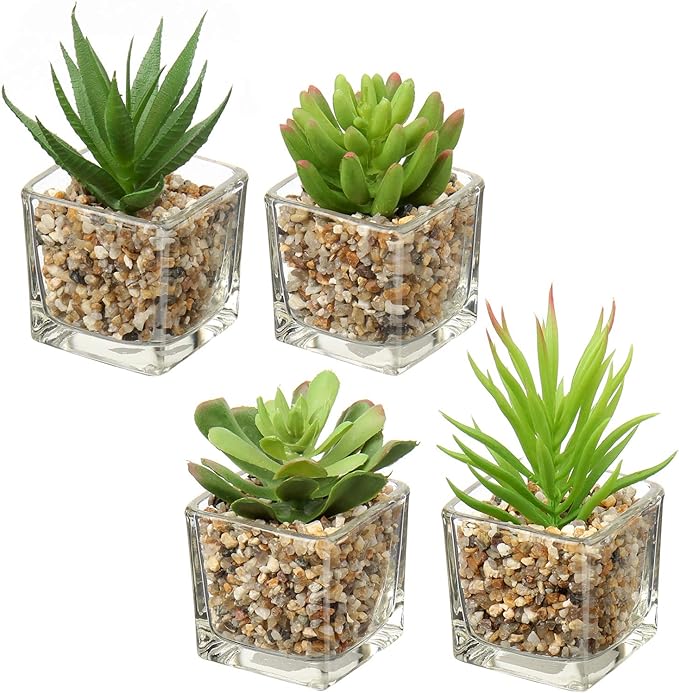 Briful Set of 4 Succulents Plants Artificial in Clear Glass Pots Small Fake Succulents Plants Mini Faux Plants Indoor for Window Sill Office Table Desk Shelf Bathroom Decor