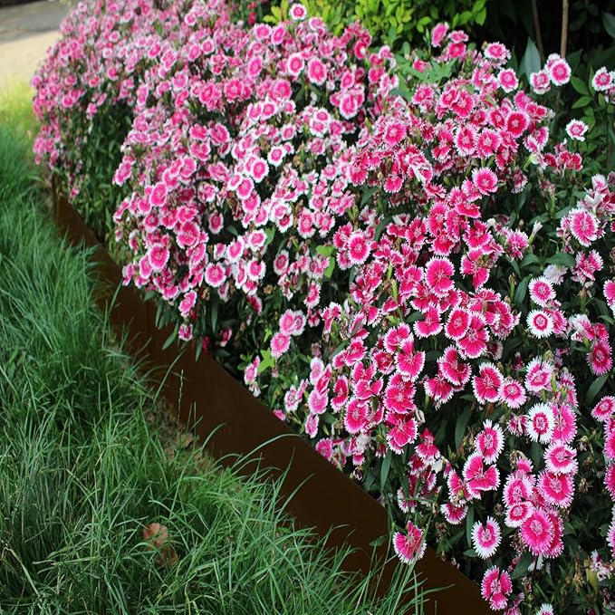 4 Inch Metal Landscape Edging, 6 Pack Heavy Duty Galvanized Steel Garden Edging, Hammer-in Metal Edging for Landscaping for Lawn, Pathway, Yard