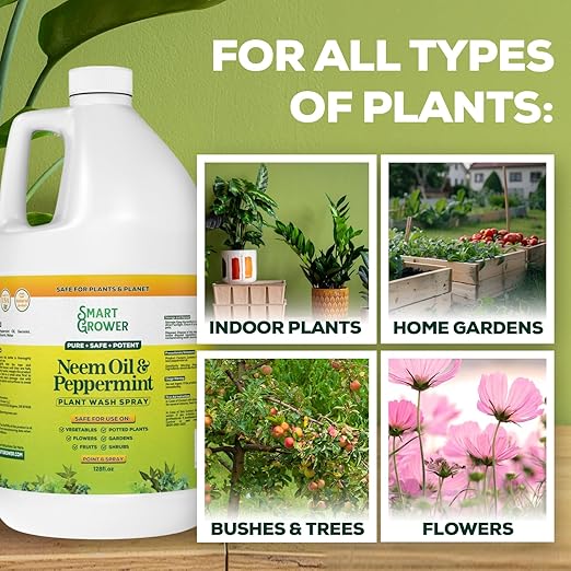 Neem Oil Spray for Plants with Peppermint Oil, Natural Plant Wash Made for Indoor and Outdoor Plants Smart Grower 128oz Gallon Refill Ready to Use Spray