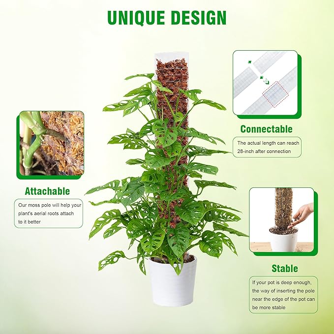 Bonviee 2 Pcs 15 Inch + 2 Pcs 24 Inch Plastic Moss Poles for Monstera – D-Shaped Plant Support for Climbing Vines, Compatible with Sphagnum Moss, Includes 2 Garden Ties
