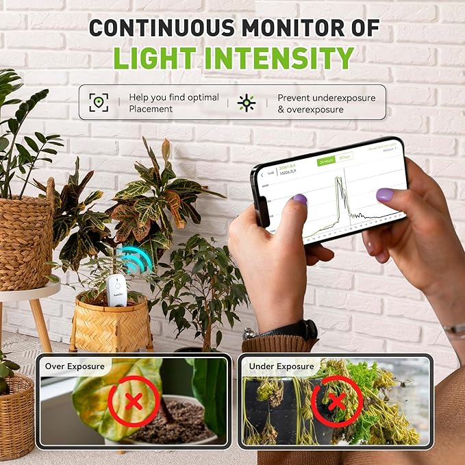 RainPoint 3-in-1 Smart Wireless Soil Moisture Meter for Plants Indoor/Outdoor Without Hub, WiFi APP Temperature Sunlight Sensor for Gardening Lawn Houseplants Monitor Hygrometer