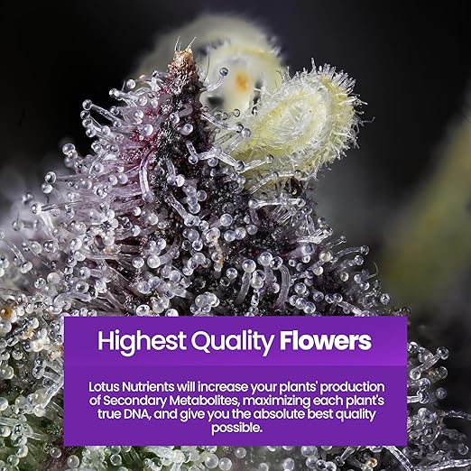 Boost Pro Series - Bloom Booster & Yield Enhancer: Premium Plant Nutrients for Indoor/Outdoor Grows - Soil, Hydroponic, Coco Coir - 18 oz