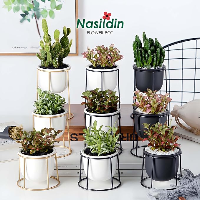 Floating Style Small Succulent Pots-3.7 Inch with Drainage and Tray, Cactus Pot, White Modern Indoor Ceramic Plant Pots (White 2)