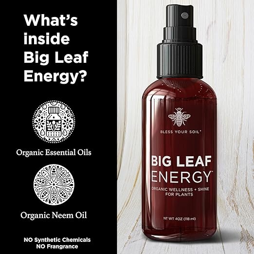Big Leaf Energy : 4 OZ Trial Size : Ready-to-Use Spray for Plant Wellness : Organic Leaf Shine and Conditioner
