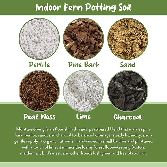 Fern Plant Potting Soil Mix (8 Quarts), Custom Hand Blended Mixture for Indoor/Outdoor Container Gardening