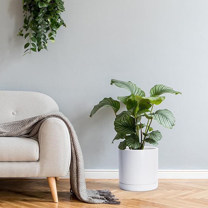 D'vine Dev Set of 2 Plants Pots, 10 Inch Ceramic Planter Pot for Plants with Drainage Hole and Saucer, White, 94-V-E-1