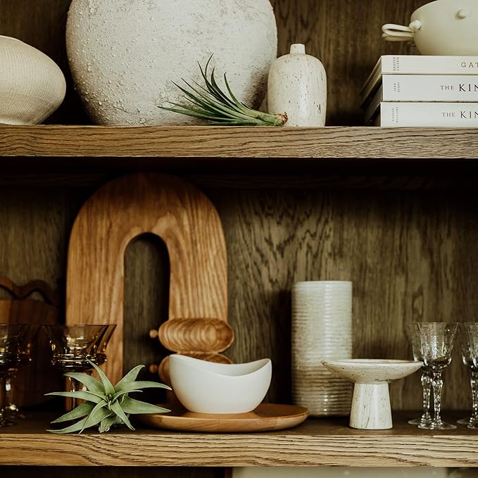 ragnaroc Holiday Hosting Gift Box Jumbo - 12ct - Tillandsia Air Plant Set - Live Arrival Guaranteed - House Plants for Home Decor & Gift