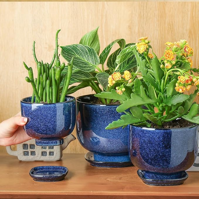 vicrays Ceramic Plant Pots Indoor - 6.8/5.5/4.3 Inch Planter Pot with Drainage Hole and Saucer for Succulent Orchid Flower Herbs Cactus - Gardening Home Desktop Office Decor – Set of 3 Blue