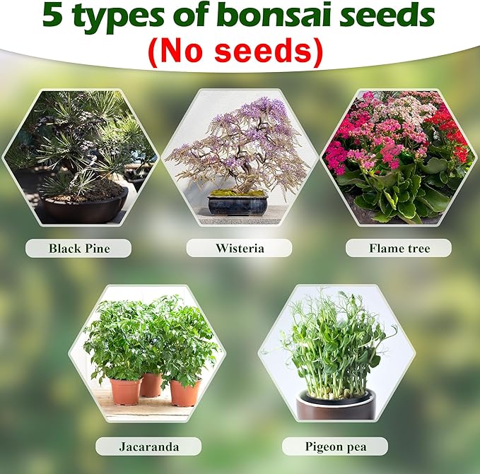 Bonsai Tree Kit, Wooden Bonsai Starter Kit, Coolrunner Bonsai Tree Starter Kit, Mini Bonsai Plant Growing Kit with Seeds Packets, Soil Discs, Jute Bags, Plant Markers, Gardening Tools etc (No Seeds)