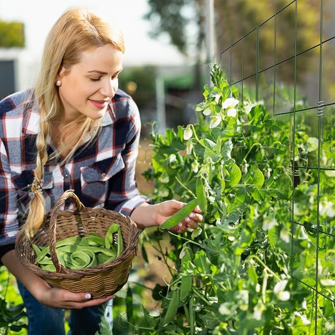 DOEWORKS Cucumber Trellis, 48" High Foldable A Frame Garden Trellis, 2 Pack, Plant Support for Climbing Cucumber, Beans, Tomatoes, Flowers, Green