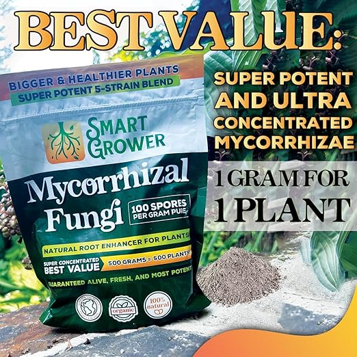 Mycorrhizal Fungi Organic Root Enhancer for Plants, Super Potent 100 Spores Per Gram, 5-Strain Blend, Rapid Results for Gardens, Houseplants, Lawns, Mycorrhizae Smart Grower 125 Grams for 125 Plants