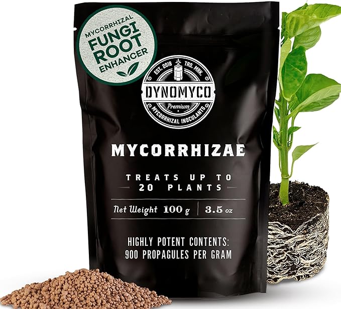 DYNOMYCO Granular Mycorrhizal Fungi Inoculant, 100g/3.5oz – Boosts Root Growth, Yields & Nutrient Uptake – 900 Propagules/g, Concentrated Granules, & OMRI Listed – Biofertilizer for Plant Growth