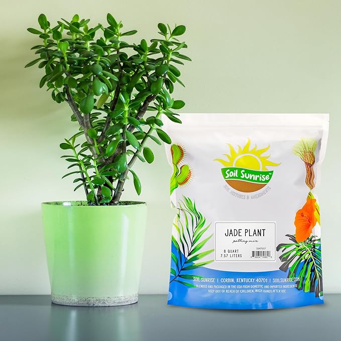 Jade Plant Potting Soil Mix (8 Quarts), Hand Blended Additive for Jade Succulents