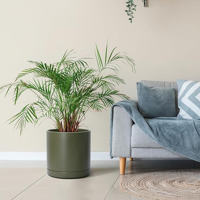 D'vine Dev 12 Inch Ceramic Planter Pot with Drainage Hole and Saucer, Indoor Cylinder Round Planter Pot, Olive, 94-O-F-J