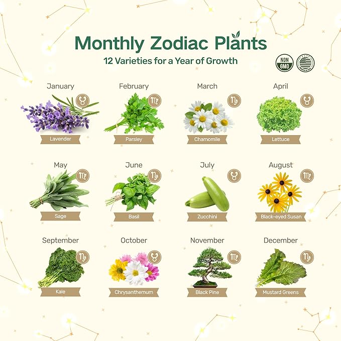 LUSH&DEW Gardening Gift for Women Men, Zodiac Garden Seed Bank, 12 Types Non-GMO Heirloom Vegetable Seeds in Seed Container, Moon Calendar, Witchcraft Magnetic Gift, Earth Signs Taurus Virgo Capricorn