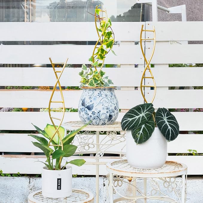 Indoor Plant Trellis for Potted Plants - Durable Metal Climbing Trellis with Unique DNA Spiral Design for Vining Plants, Easy Installation for Indoor & Outdoor Use