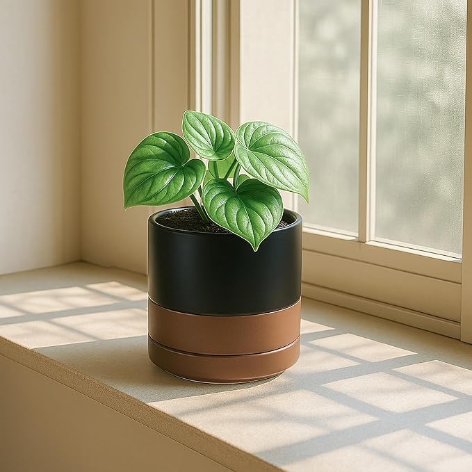 D'vine Dev Set of 2 Plants Pots, 4.7 Inch Ceramic Planter Pot for Plants with Drainage Hole and Saucer, Black/Speckled Tan, 94-V-B-7