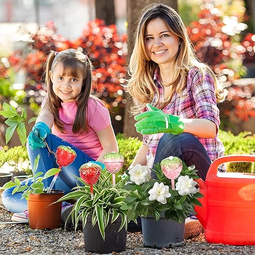 4 Pcs Self Watering Planter Insert, Strawberry Plant Watering Globes with Top-Fill Watering Bulbs, Indoor and Outdoor Potted Plant Watering Device, Suitable for Plant Care During Vacation