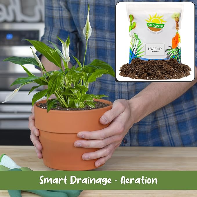 Peace Lily Potting Soil Mix (12 Quarts), for Planting, Growing, or Repotting Peace Lily Plants