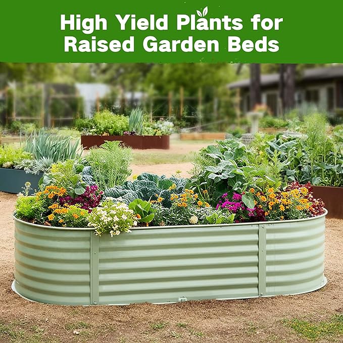 Lush&Dew Raised Garden Beds Heirloom Seed Bank, 32 Varieties 30,000+ Non-GMO Fall Garden Seeds of Vegetables Herbs Fruits, Gardening Gifts for Women Men, Emergency Supplies Survival Seed Kit