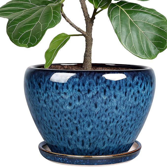 Deep Dream 10 Inch Plant Pot- Ceramic Planter Pot Round Plant Pots for Indoor Plants Outdoor Large Flower Pot with Drainage Holes & Trays, Blue