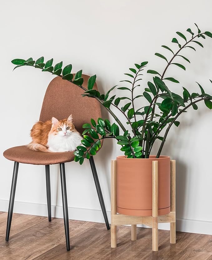 D'vine Dev Terracotta Planter with Natural Stand - 10 Inch Modern Round Flower Pot with Wood Planter Holder, Terracotta, 55-B-K-5