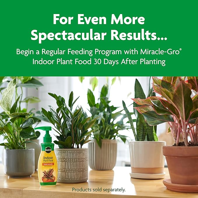 Miracle-Gro Indoor Potting Mix, Blended for a Variety of Houseplants, Feeds for up to 6 Months, 16 qt., 2-Pack