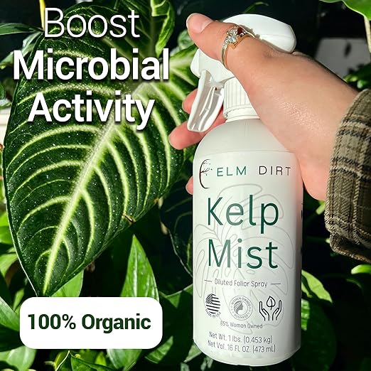 Elm Dirt Kelp Mist 100% Organic Plant Spray - Foliar Spray for Plants Food Indoor House Plants & Outdoor Plant Food | Help Plant Nutrients Efficiently & Boost Soil Activity - Kelp Foliar Mist (16 oz)