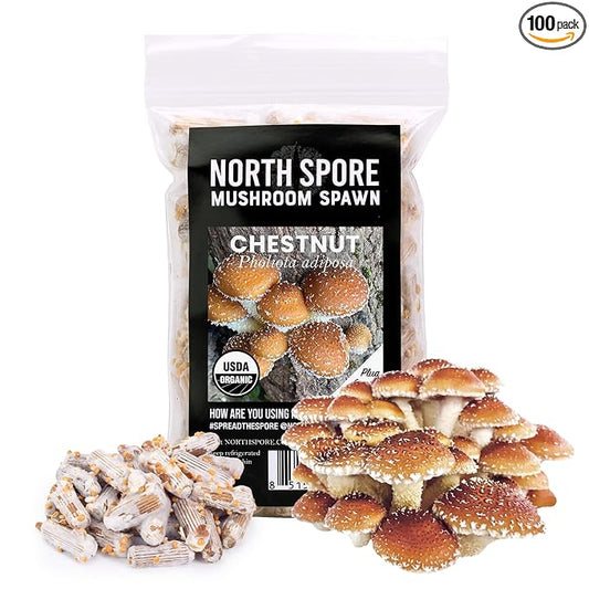 North Spore Organic Chestnut (100 ct) Mushroom Plugs for Logs | Premium Quality Mushroom Plug Spawn | Handmade in Maine, USA | Grow Gourmet Mushrooms Outdoors on Logs | Pholiota adiposa