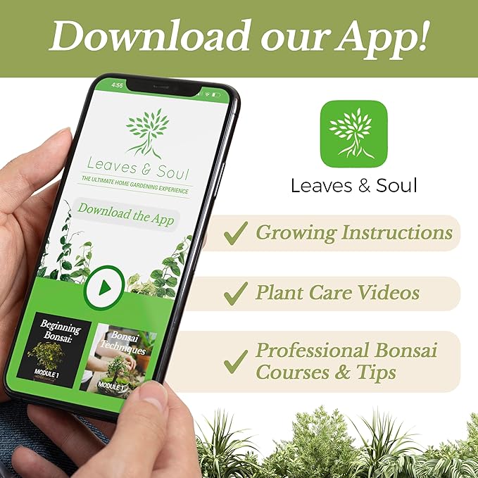 Professional Peace Lily Soil | Large 2.2 Quarts Ready to Use for Peace Lily Plants | Peat Moss, Coco Coir, Perlite, Dolomite | Made in USA